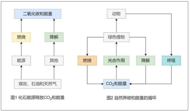 为什么说生物质能是“零碳”能源