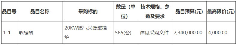 三标段20KW燃气采暖壁挂炉